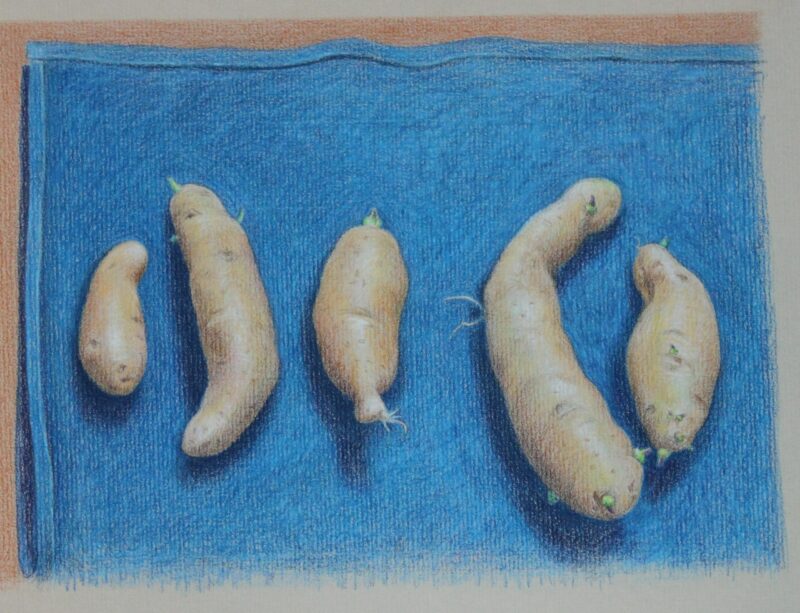 Blue Fingerlings