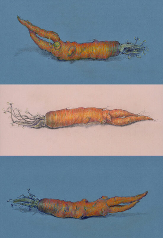 Carrot Trio