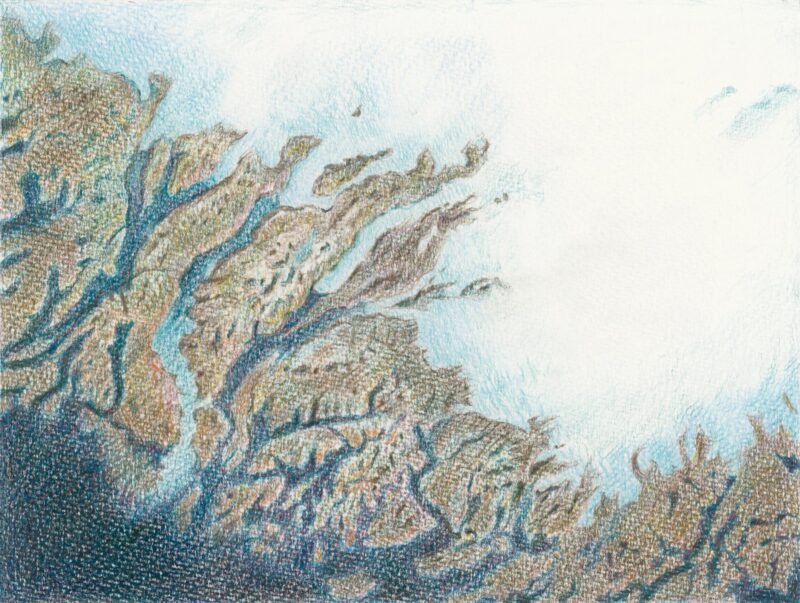 Fractal Glacier: Sermersuaq Ice Sheet, northwest of Qaqortoq, South Greenland