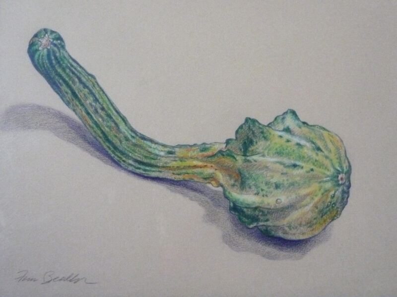 Long Gourd: Envy