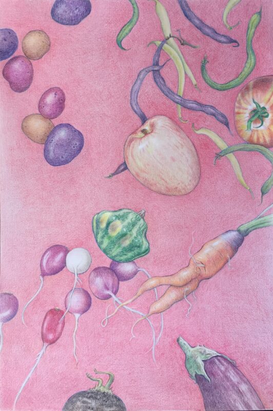 Stone Soup